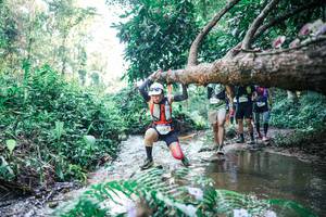 BIB: 
                            <button type="button" onclick="openModal(25444094)" class="btn btn-primary btn-sm float-right btn-popup" data-toggle="modal" data-target=".modal-high-quality">
                        <i class="fas fa-shopping-cart"></i> Add to Cart
                    </button>
                                            <button type="button" onclick="isThisMe(25444094, true)" class="btn btn-success btn-sm float-right btn-popup btn-isme hidden" data-toggle="tooltip" data-placement="bottom" title="นี่คือรูปของคุณใช่ไหม คลิกที่นี่เพื่อเอาเข้าอัลบั้ม">
                        <i class="fas fa-plus"></i> Add to album
                    </button>
                    <button type="button" onclick="isThisMe(25444094, false)" class="btn btn-warning btn-sm float-right btn-popup btn-isnotme hidden">
                        <i class="fas fa-ban"></i> Remove from album
                    </button>